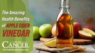 The Amazing Health Benefits of Apple Cider Vinegar The Amazing Health Benefits of Apple Cider Vinegar