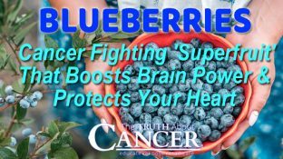 Blueberries: Cancer Fighting 'Superfruit' That Boosts Brain Power & Protects Your Heart