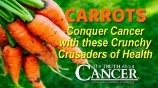 CARROTS: Conquer Cancer with these Crunchy Crusaders of Health