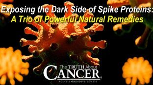 Exposing the Dark Side of Spike Proteins: A Trio of Powerful Natural Remedies