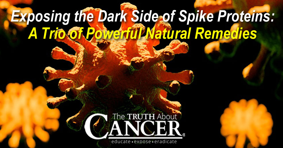 Exposing the Dark Side of Spike Proteins: A Trio of Powerful Natural Remedies