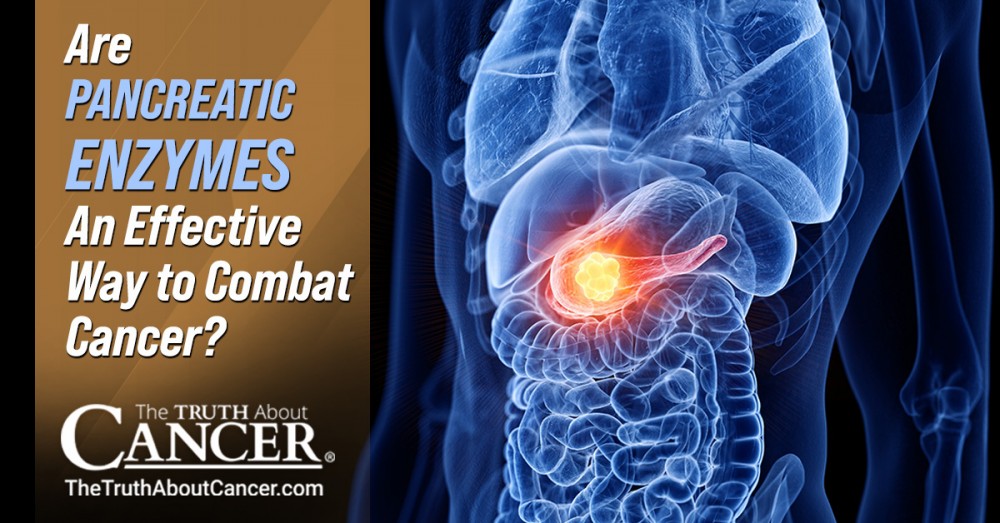 Pancreatic Enzymes: An Effective Way to Combat Cancer?