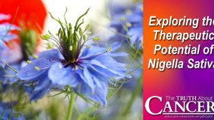 Exploring the Therapeutic Potential of Nigella Sativa Exploring the Therapeutic Potential of Nigella Sativa