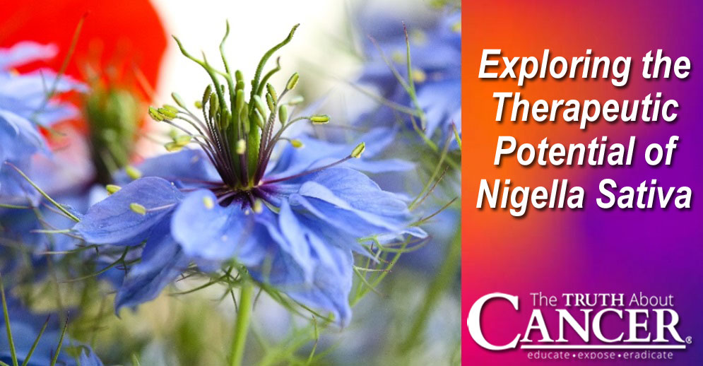 Exploring the Therapeutic Potential of Nigella Sativa