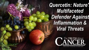 Quercetin: Nature's Multifaceted Defender Against Inflammation & Viral Threats Quercetin: Nature's Multifaceted Defender Against Inflammation & Viral Threats