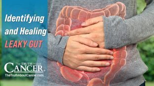 Identifying and Healing Leaky Gut Identifying and Healing Leaky Gut
