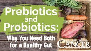 Prebiotics and Probiotics: Why You Need Both for a Healthy Gut Prebiotics and Probiotics: Why You Need Both for a Healthy Gut